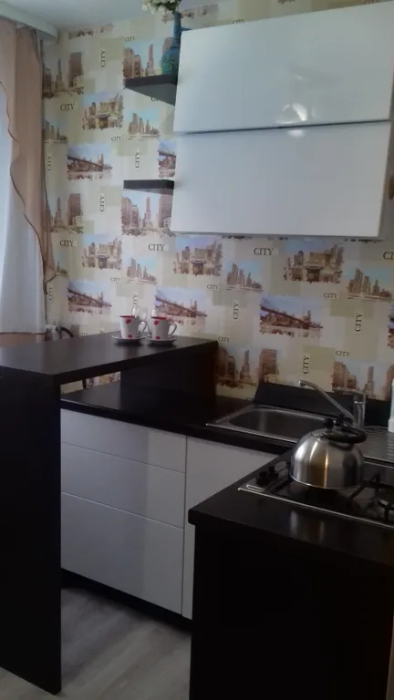 Квартира в центре города