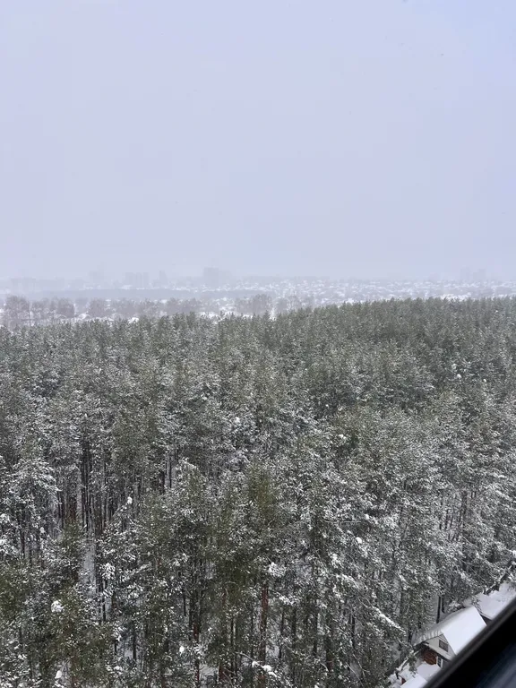 Квартира Видовая квартира с видом на сосновый бор — Ижевск