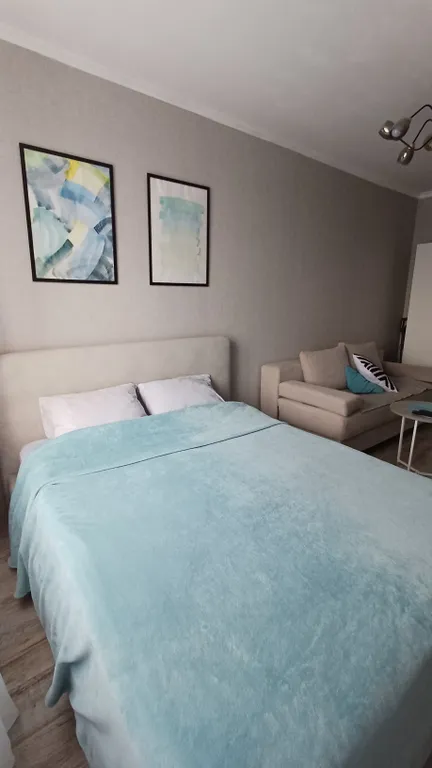 Квартира Чистая уютная квартира — Омск