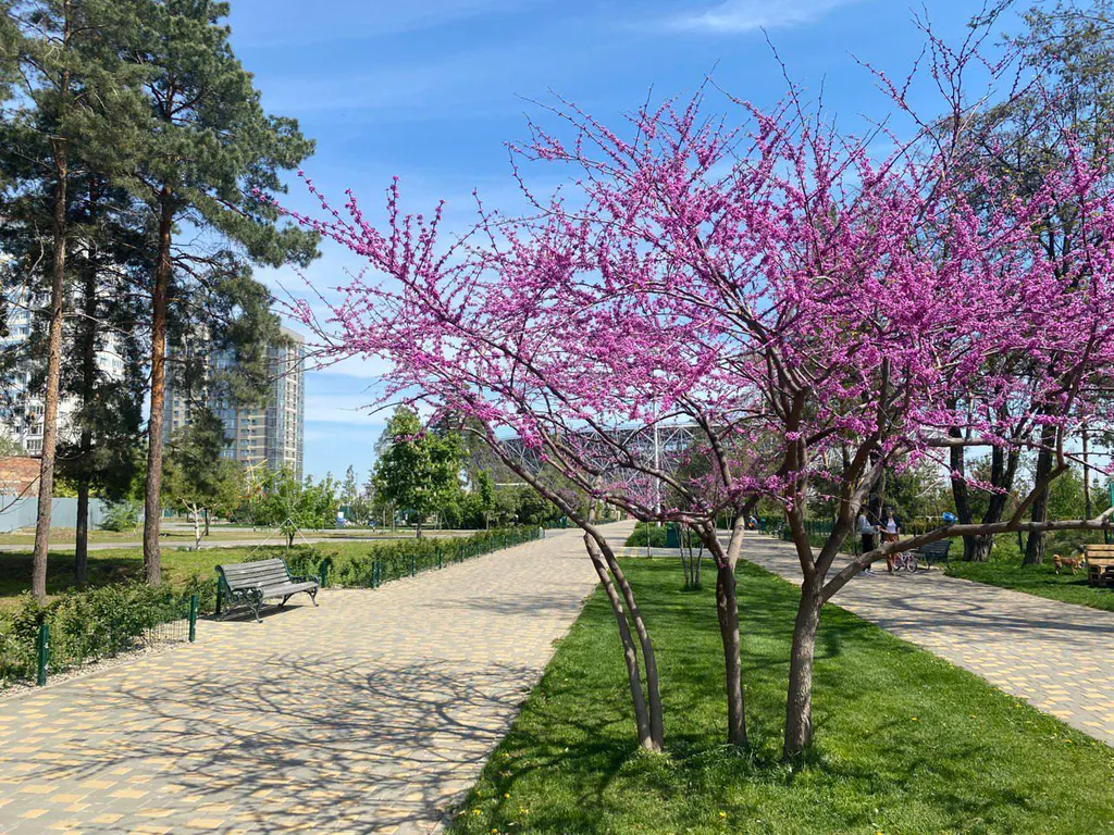 Квартира на Мамаевом Кургане