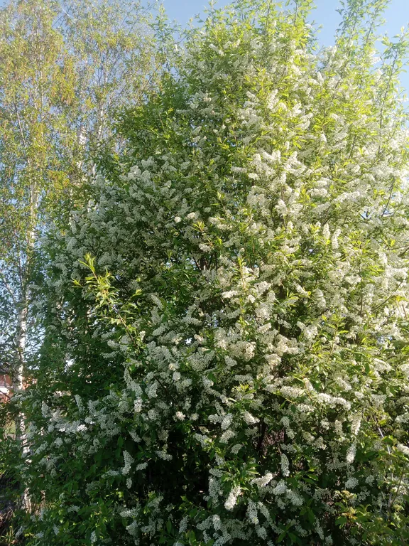 Незабываемый отдых в уютном коттедже на праздники