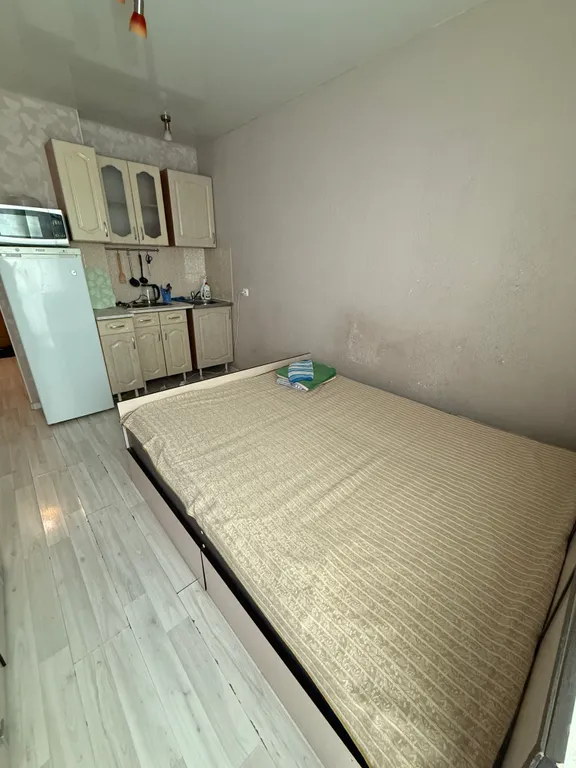 Студия 20кв.м - широкая кровать, стиралка, микроволновка, холодильник