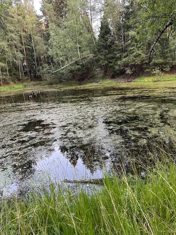 Апартаменты в частном доме в Щелковском районе МО