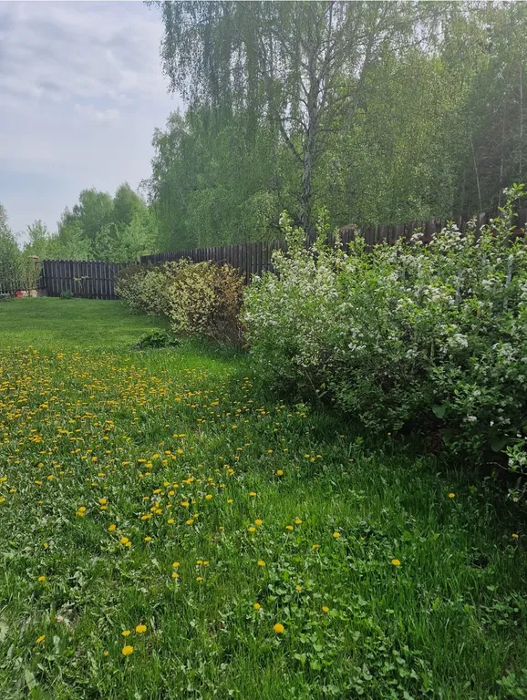 Апартаменты с видом на лес