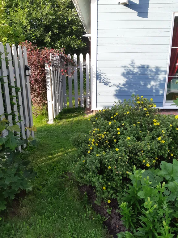 Деревенский рай