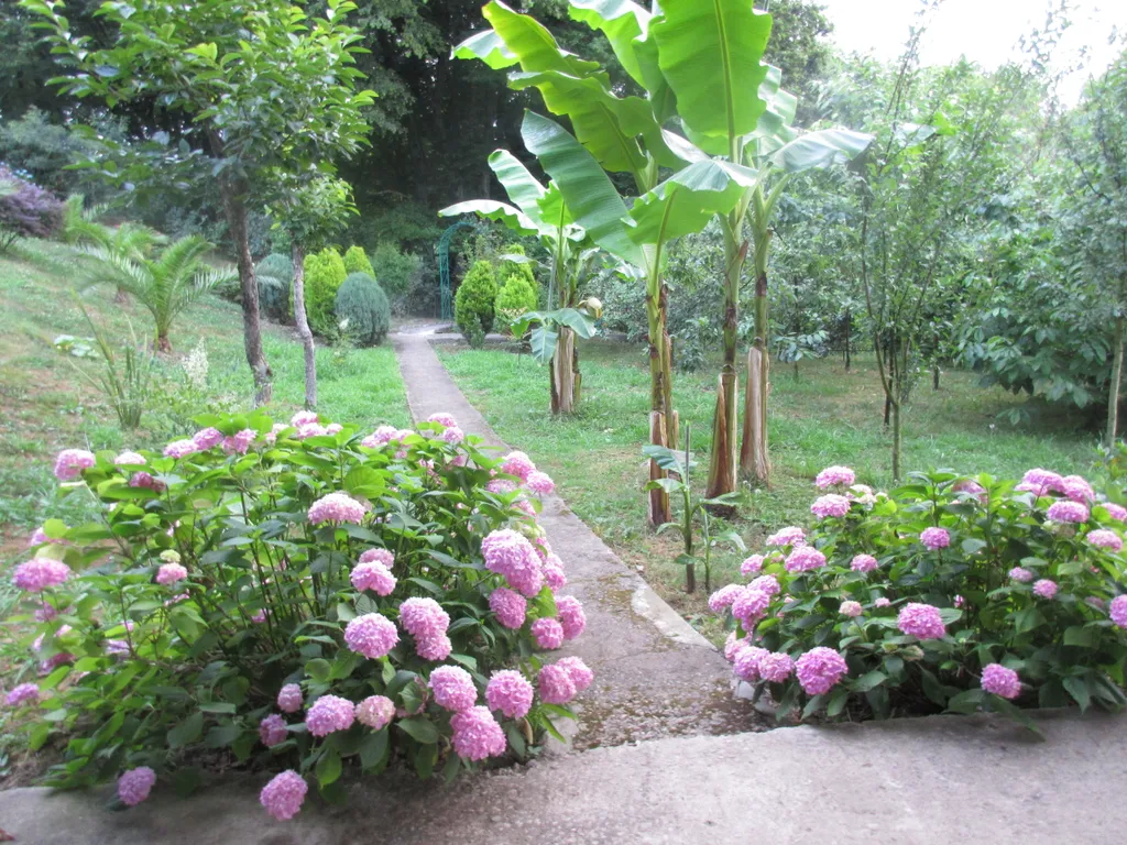 Трёхэтажный таунхаус в живописном месте с большим садом