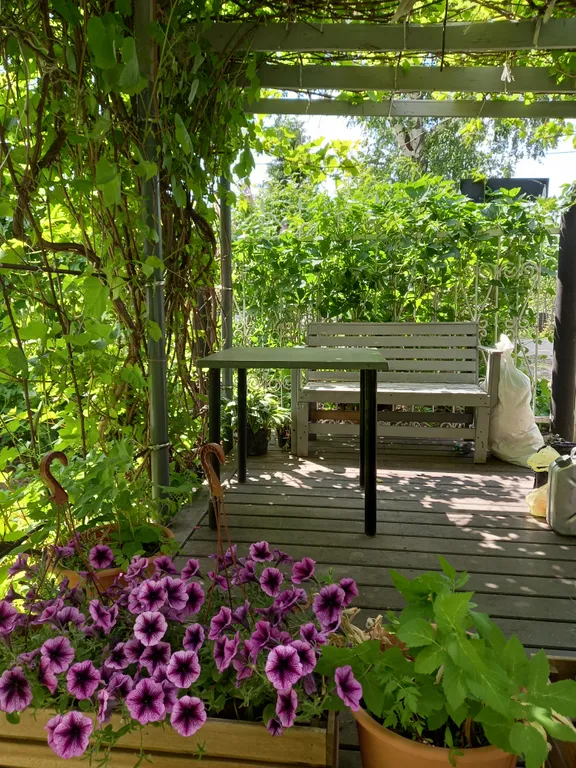 Домик с сауной