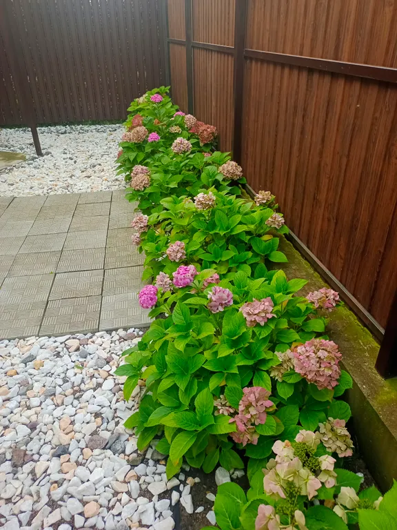 Уютный танхаус вблизи моря