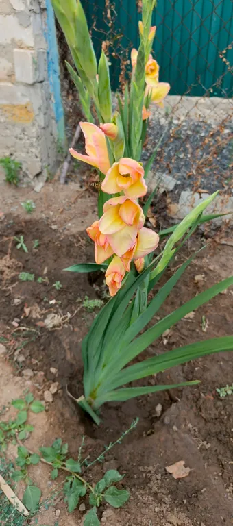 Частный дом недалеко от железнодорожного вокзала