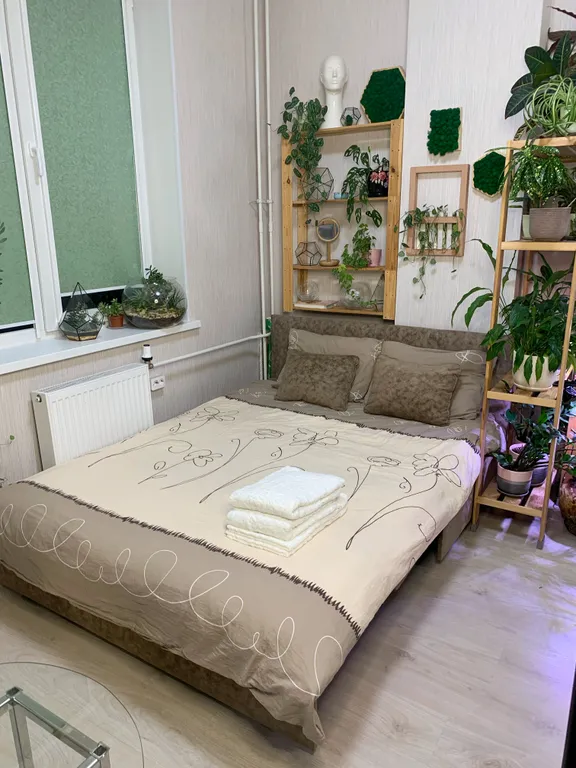 Квартира Квартира Уютная студия с комнатными растениями — Санкт-Петербург