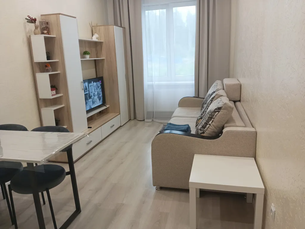 Уютная студия в Чистых ручьях