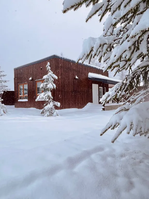 Коттедж Можжевеловой эко-дом и баня в Подмосковье — аренда посуточно в Истра