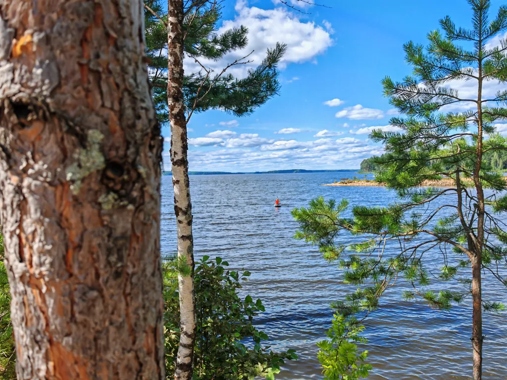 Коттедж Домик в лесу у озера Волго — Турбаза Чайка
