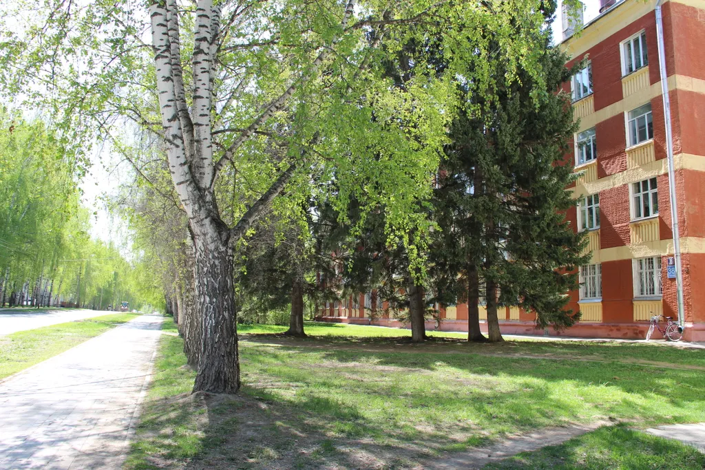 Квартира 1-комнатная Квартира — Новосибирск