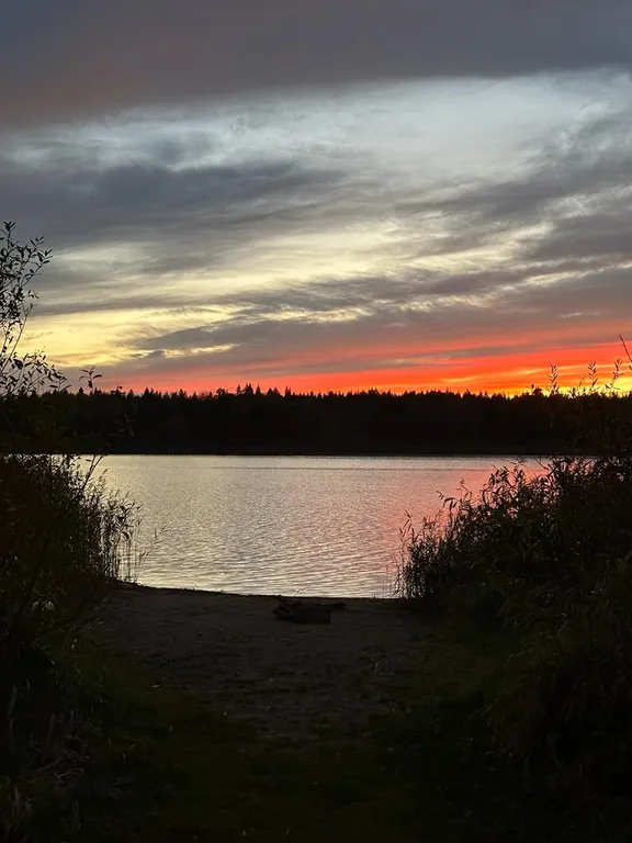 Коттедж Дом с террасой на берегу реки — Логиново