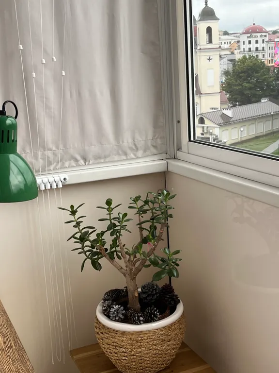 Видовая квартира в сердце города