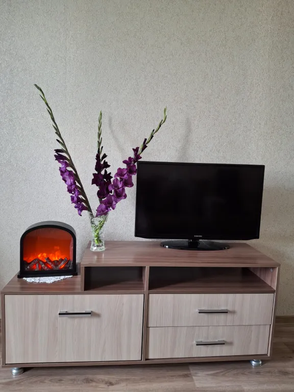 Уютная квартира в самом центре города напротив места основания города