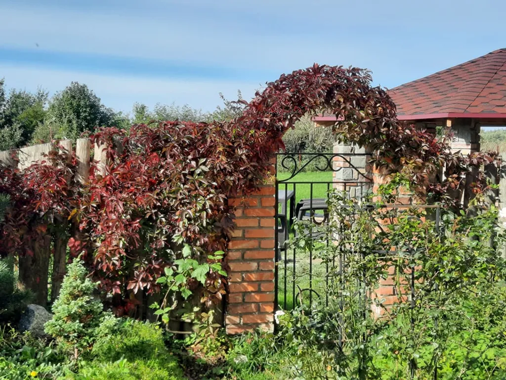 Домик в деревне в 5 километрах от моря