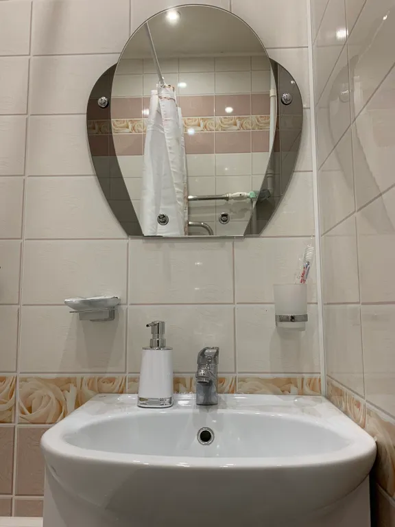 Однокомнатные апартаменты с удобствами