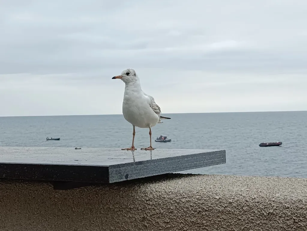Квартира Квартира Уютная студия в мансарде рядом с Амалиенау — Калининград