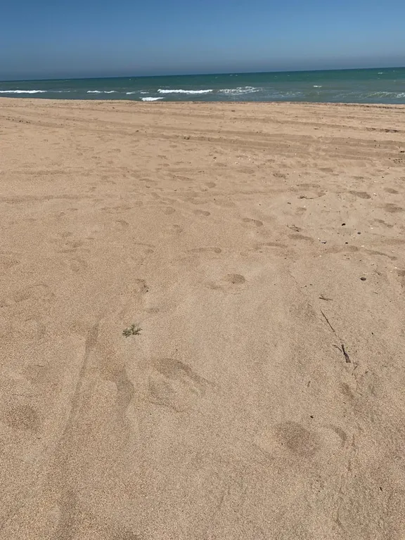 Дом на берегу