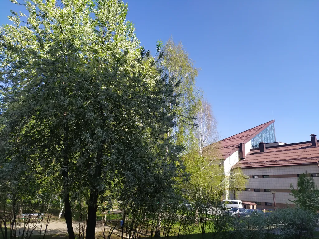 Квартира за музеем Анохина