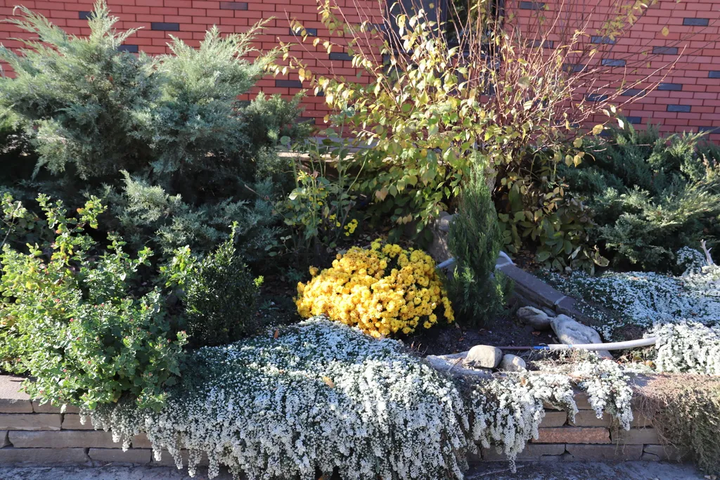 Загородный дом-шале "Pinebrook", аренда, у реки Дон. Сезонный бассейн.