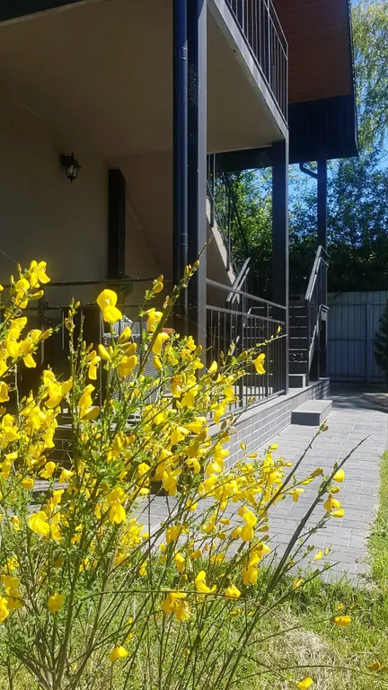 Домик у моря