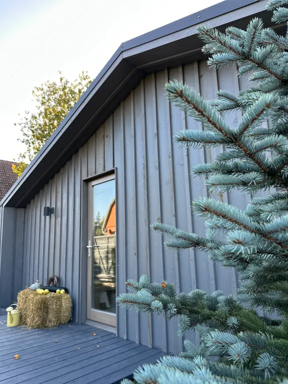 Дубльдом в сoснaх