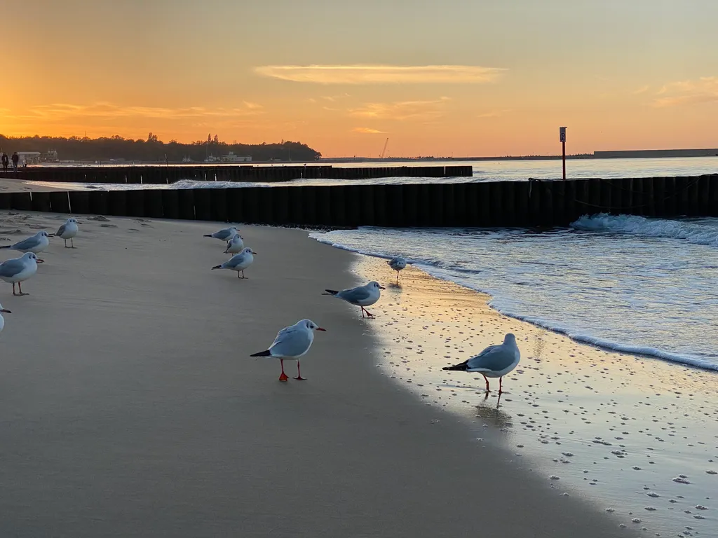 Квартира Балтийский Блюз с видом на море