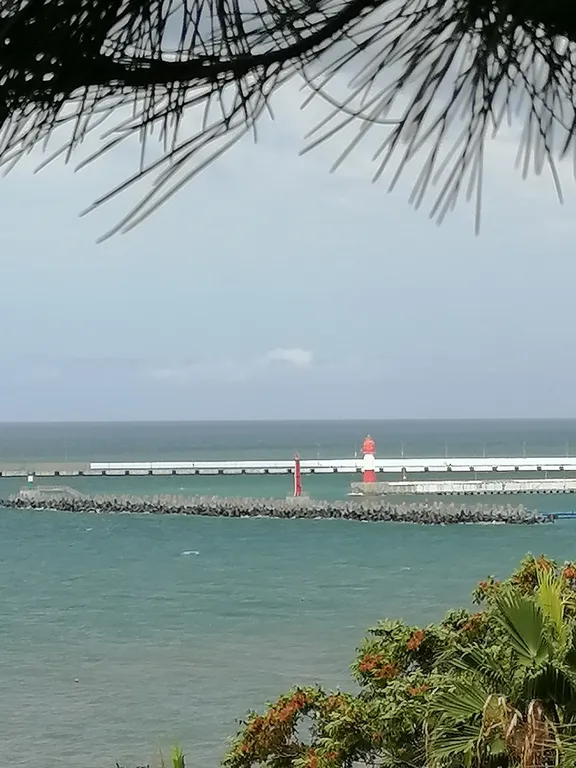 Уютная студия в центре