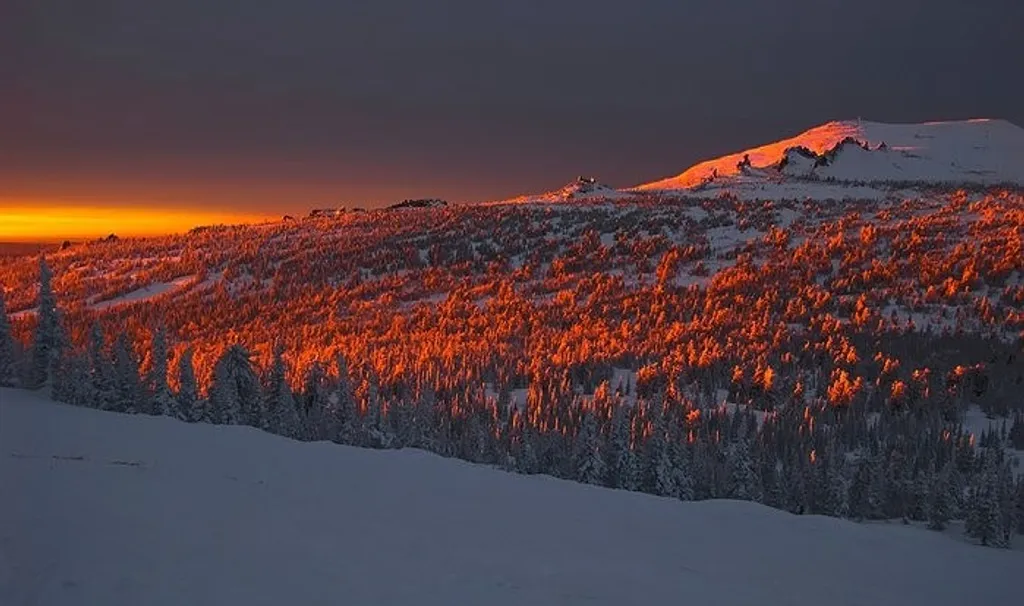Апартаменты с видом на горы