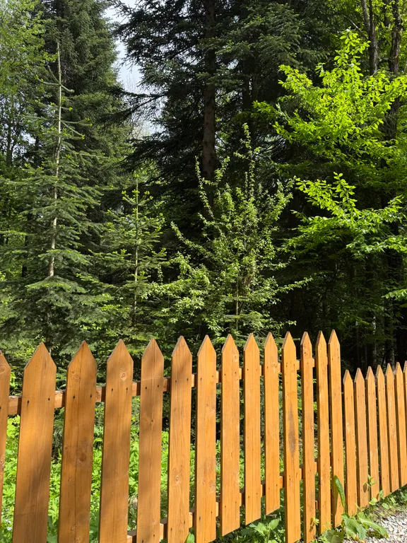 Коттедж в лесу, 12 спальных мест (весь дом)