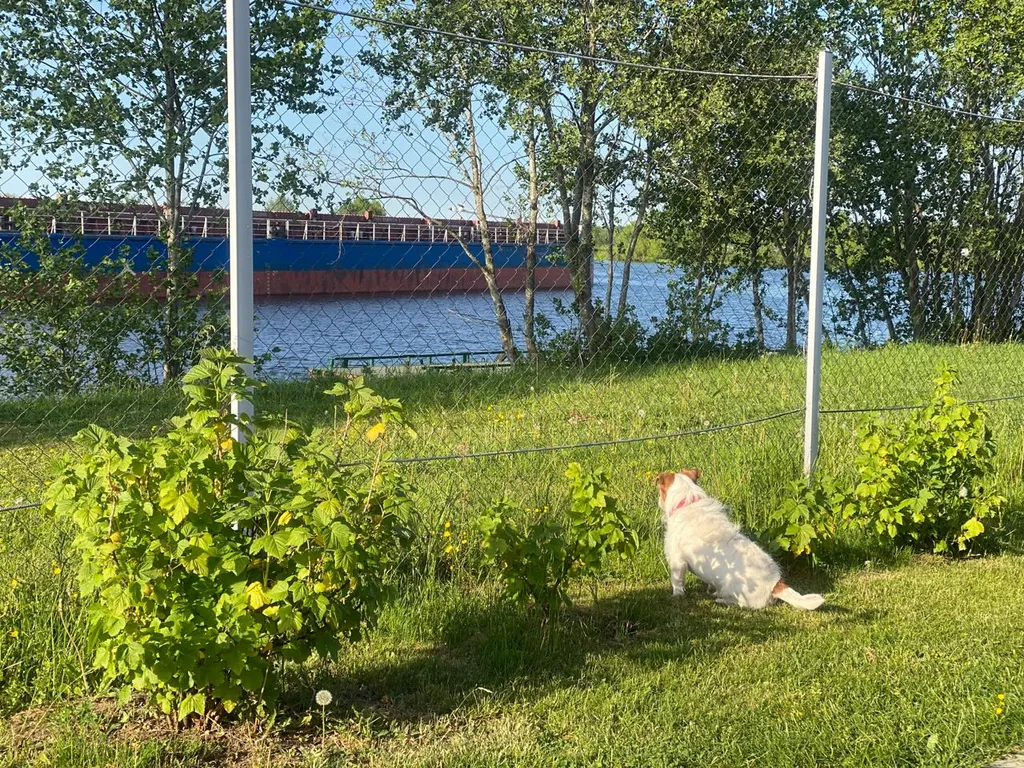 Дом на первой линии у реки Дубна