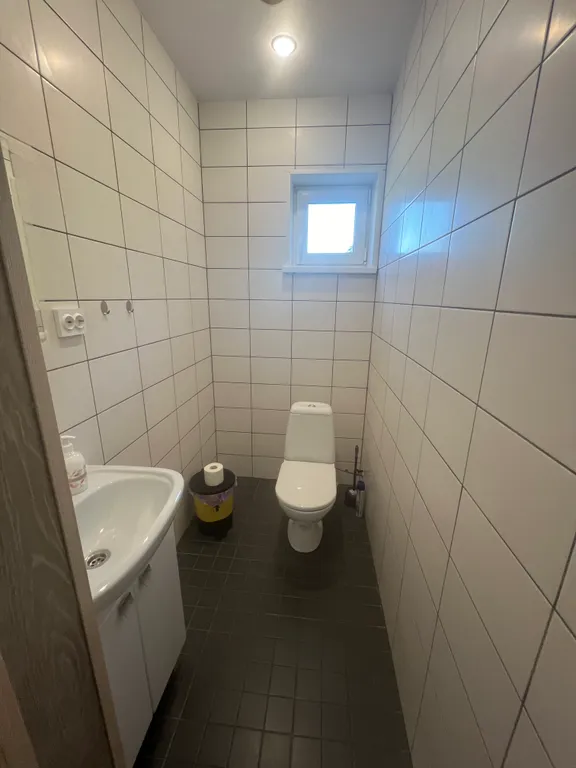 Тихое место в лесу