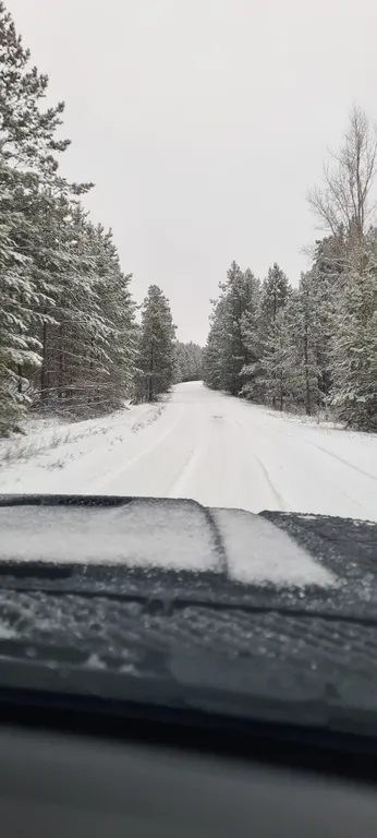 Дом Ёлки в Бузулукском Бору