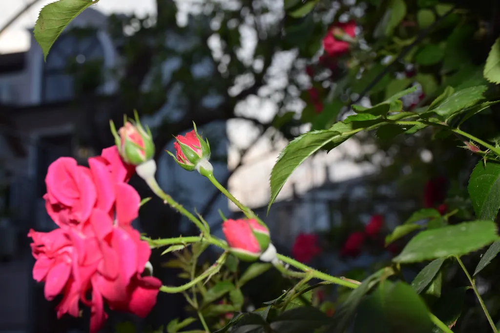 Квартира Апартаменты на Мансардном этаже в центре курортной жизни Евпатории — Евпатория