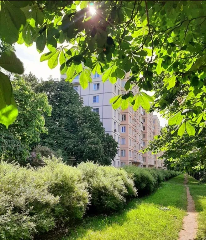 Самый красивый мост и центр рядом