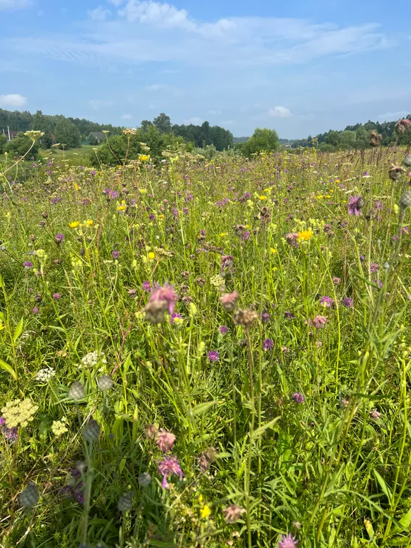 Уютный коттедж №1 у реки