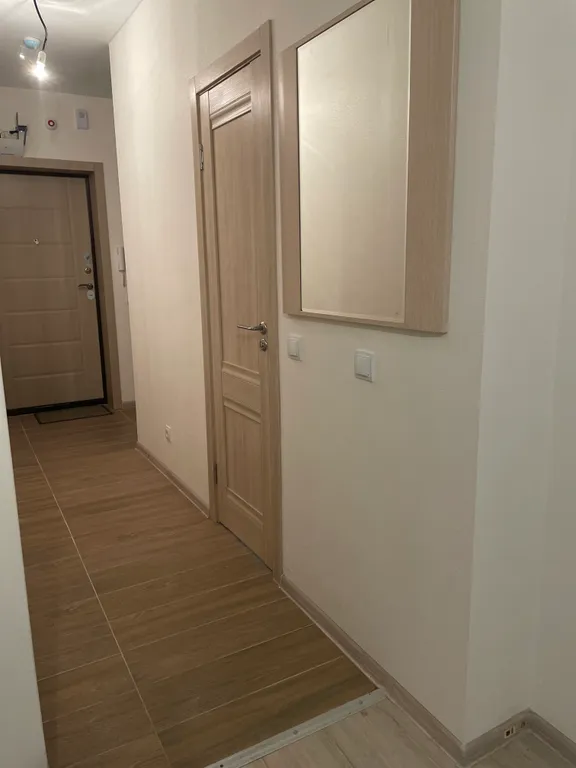 Студия жк анкудиновский парк