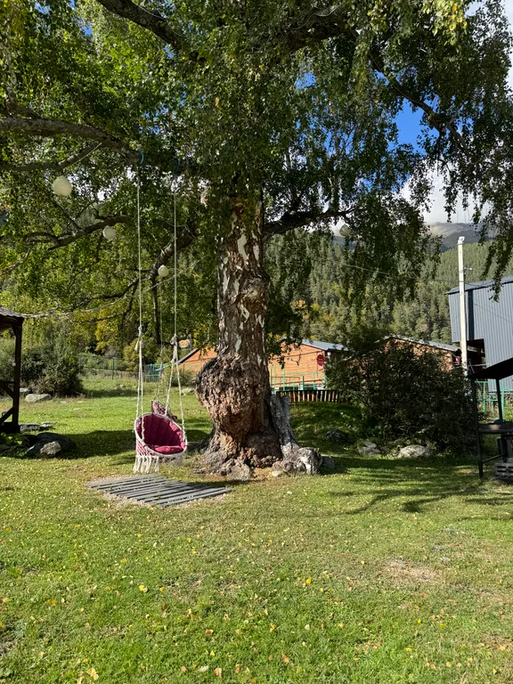 Апартаменты 1 этаж с видом на горы, идеальное место для отдыха