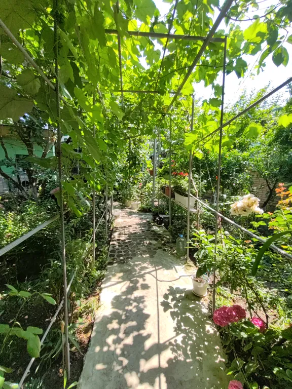 Квартира Уютная комната в городе — Анапа