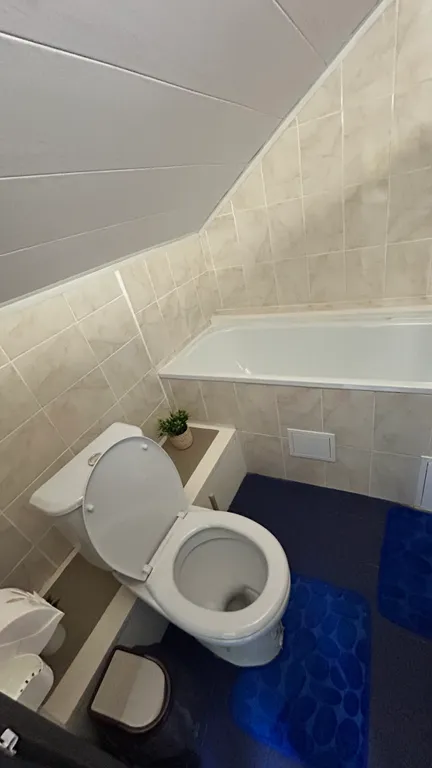 Двухкомнатная мансарда в центре Нижнего