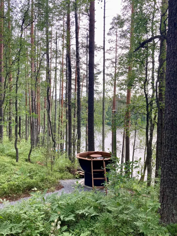 Руна Леса Карелия