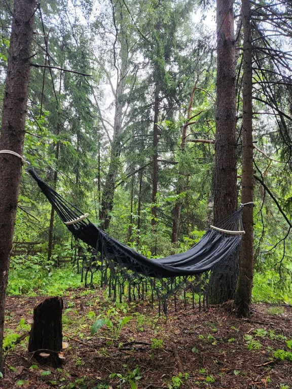 Дом в лесу с панорамным видом