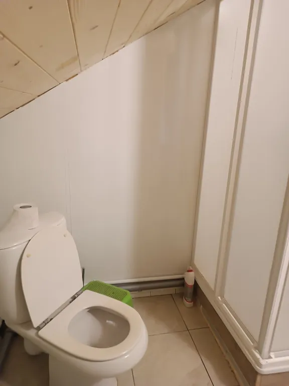 Уютный дом, тишина и лес