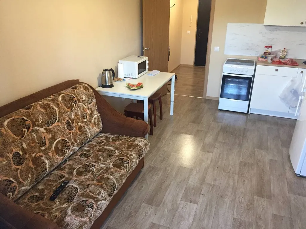 Квартира Квартира Уютная студия напротив НИИ им. Петрова — Песочный