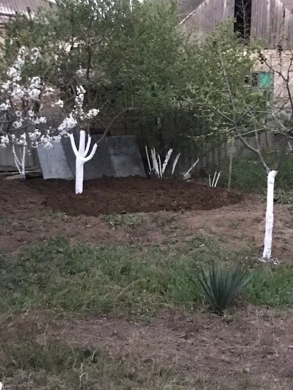 Уютный дом, 10 минут ходьбы до моря