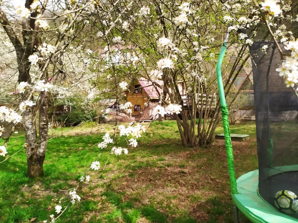 Дом с камином и с большим фруктовым садом