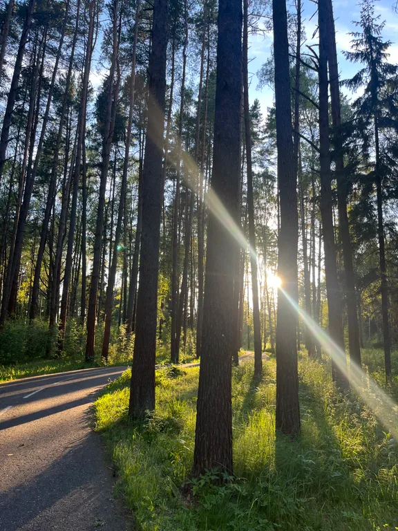 Квартира для прекрасного семейного отдыха